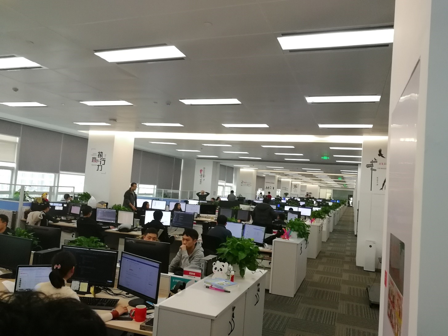 9eba8c38bd53b3aae0e11d059ff05b47.jpg 9eba8c38bd53b3aae0e11d059ff05b47.jpg