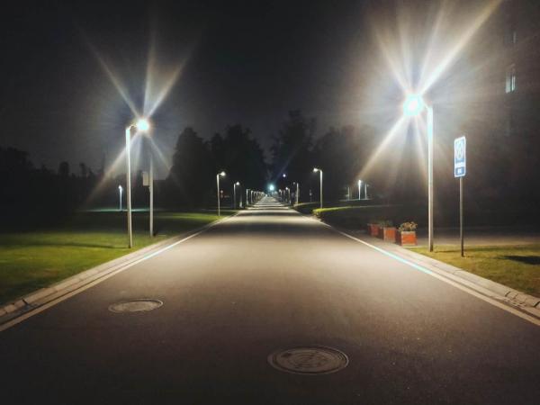 4. 凌晨的银杏大道.jpg 4. 凌晨的银杏大道.jpg